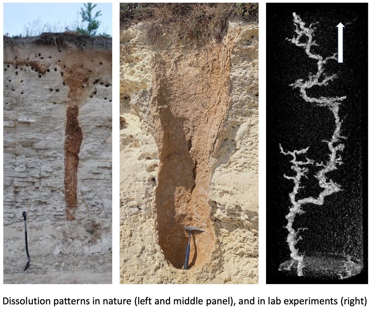 Dissolution patterns